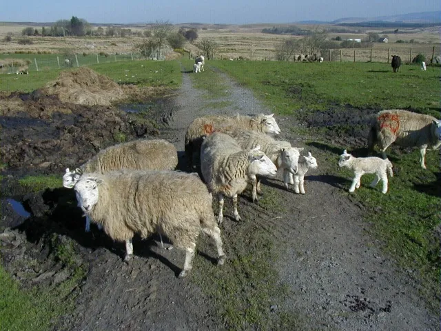 Ploughed Under: The Broken Promise of Britain's Post-Brexit Agricultural Future