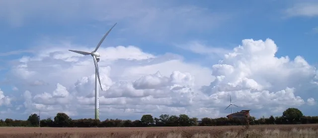 Stranded Between Standards: Britain's Net Zero Ambitions in a Post-Brexit World
